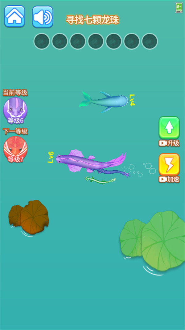 超级蝌蚪进化 第1张图