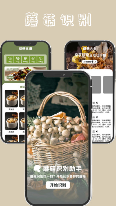 蘑菇识别高手 第1张图