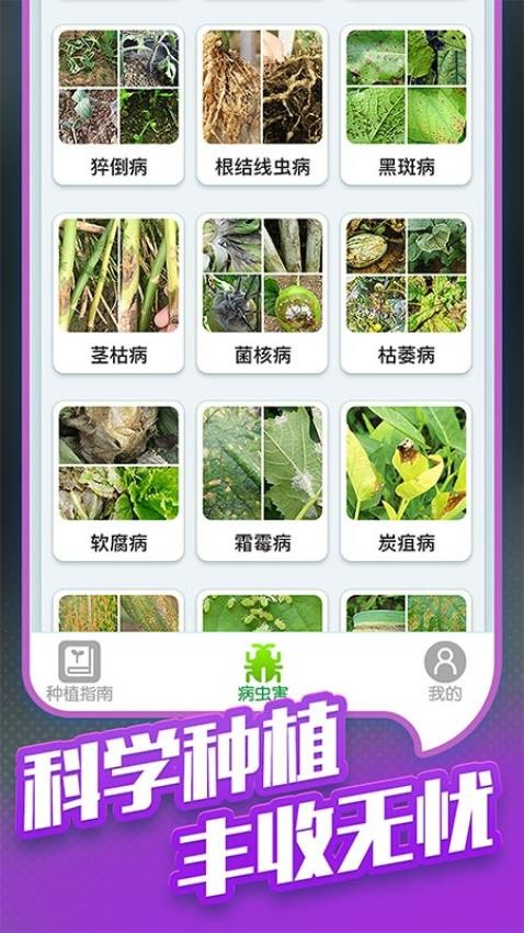 种菜专业户 第1张图