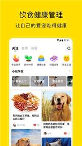小绒宠物 第1张图