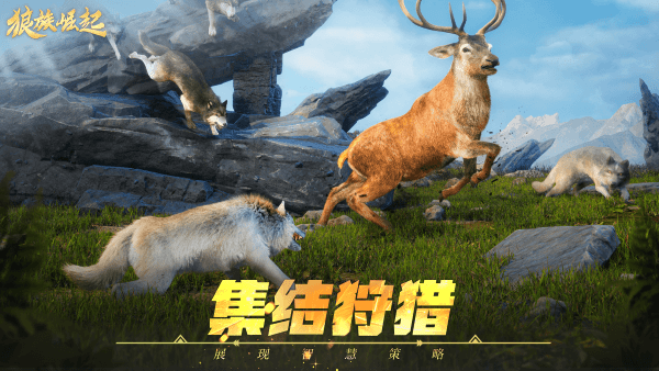 狼族崛起 第1张图