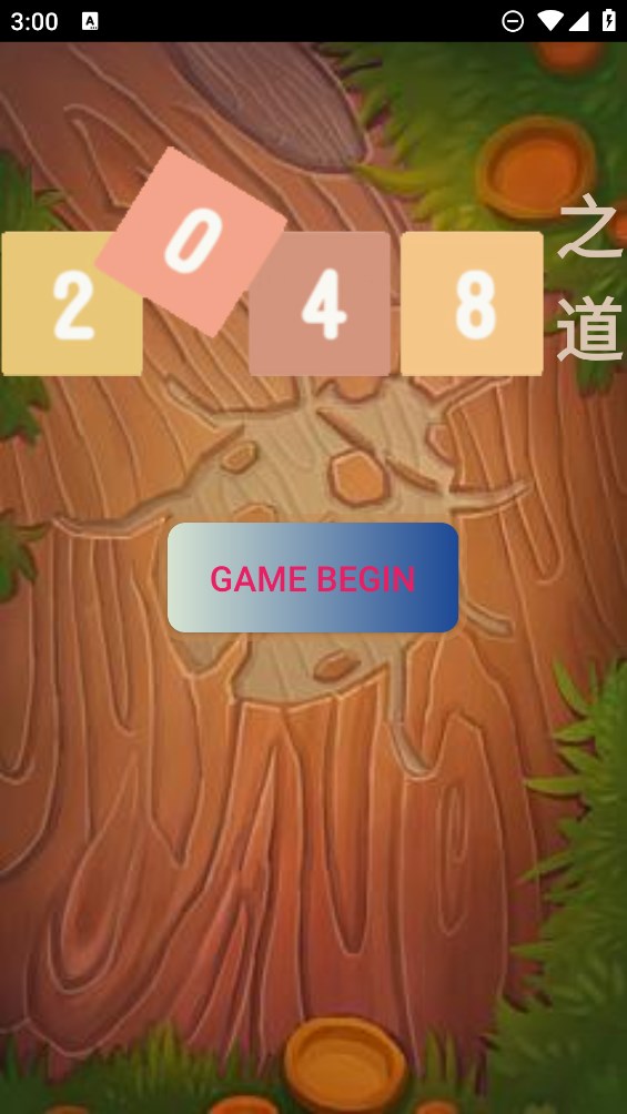 2048之道 第1张图