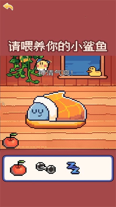 我的可爱小鲨鱼 第1张图