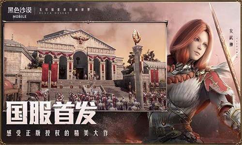 黑色沙漠单机版 第1张图