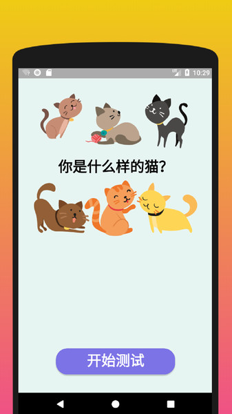你是什么样的猫 第1张图