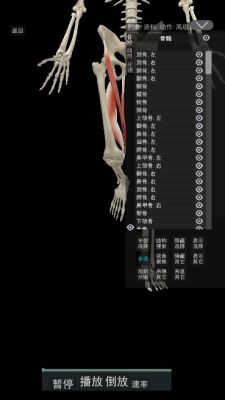 3d动态解剖 第1张图