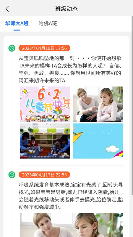 宝可托园丁 第1张图