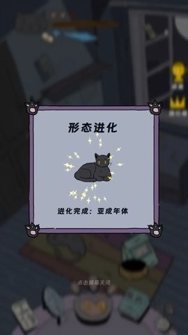 猫猫喵喵 第1张图