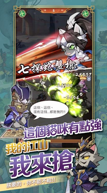 这个猫咪有点强 第1张图