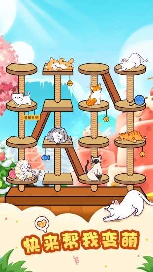 猫屋日记 第1张图