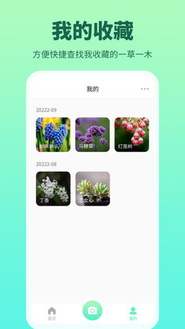 花多多 第1张图
