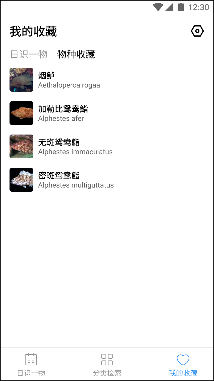 奇妙海洋 第1张图