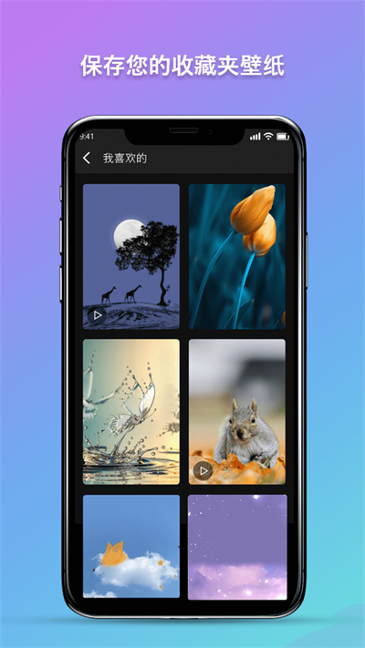 秀秀壁纸 第1张图