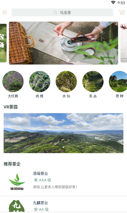 茶知了 第1张图