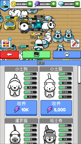宠物豢养 第1张图