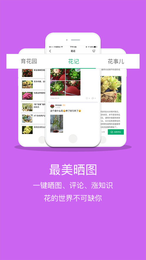 花帮主 第1张图