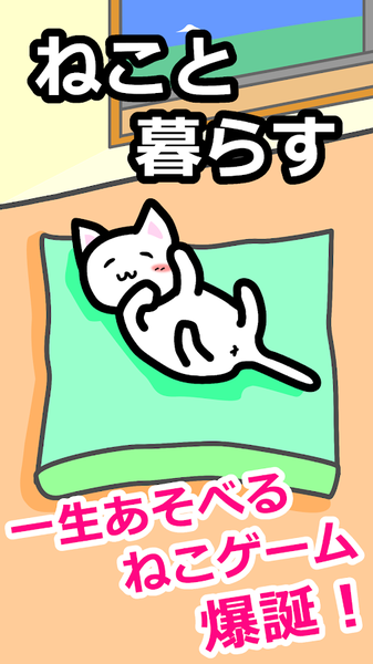 猫猫生活 第1张图